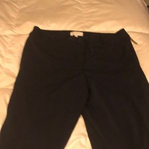 Straight leg dress pants